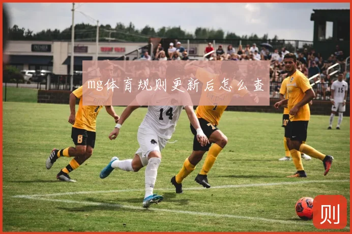 mg体育规则更新后怎么查