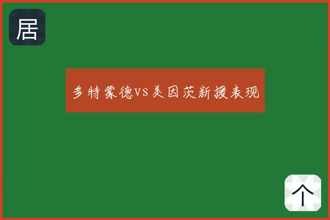 多特蒙德vs美因茨新援表现