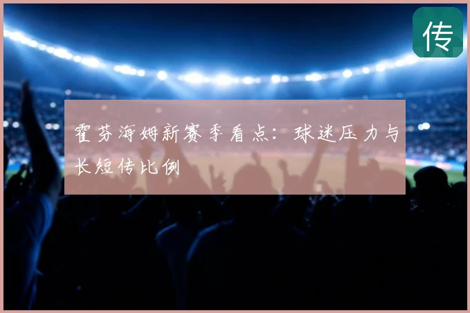 霍芬海姆新赛季看点:球迷压力与长短传比例