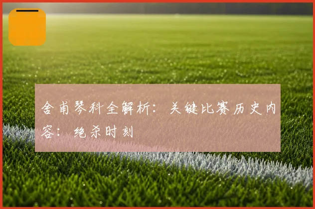 舍甫琴科全解析:关键比赛历史内容:绝杀时刻
